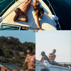 dd0730a0 6813 46ed b8c8 8e368572b9ed (1)