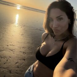 90709e87 d99e 423c 938a 5ccd498edf0c