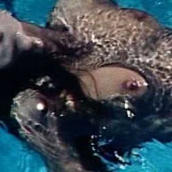 Christodoulidou2232026 01 900x480