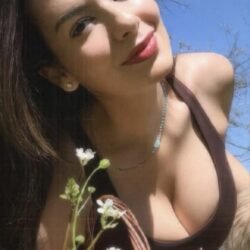 d011d782 ae1a 4c6e b988 1a6a54659612